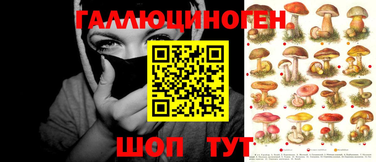 Электрогорск  Галлюциногенные грибы прущие грибы  Псилоцибиновые грибы Psilocybine cubensis  купить наркотики цена  Вход с VPN 